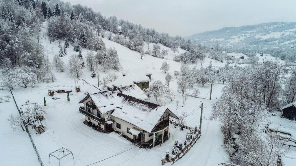 Lacrima Izei Villa Săcel Exterior photo
