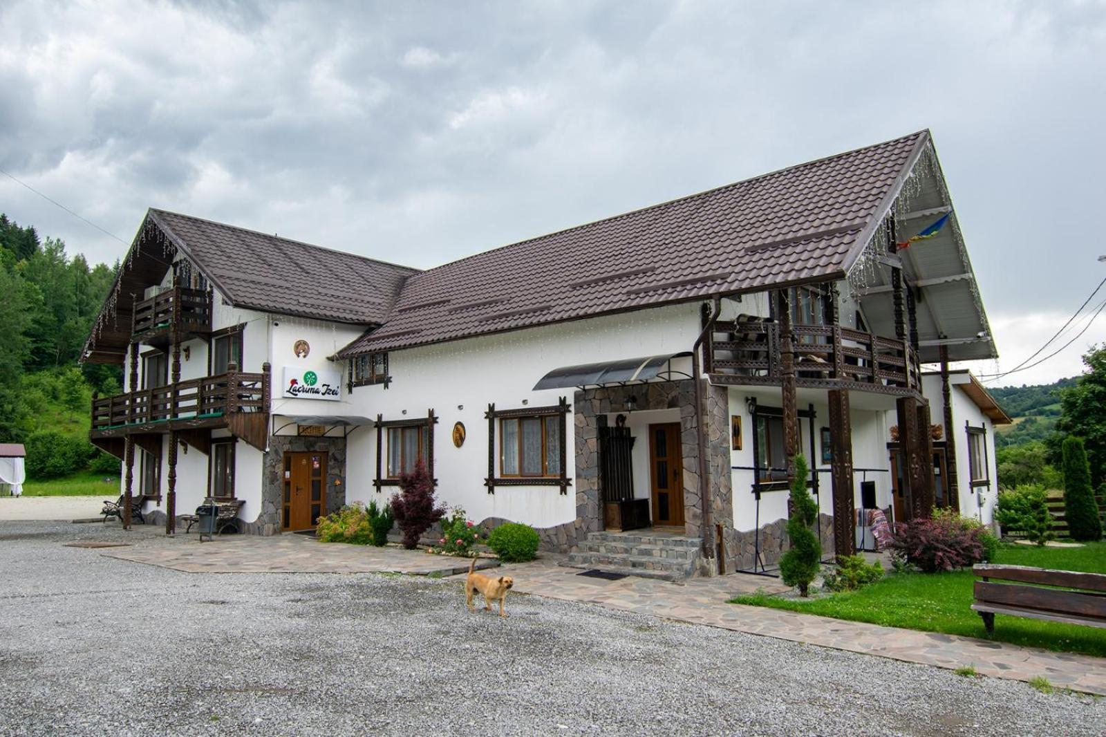 Lacrima Izei Villa Săcel Exterior photo