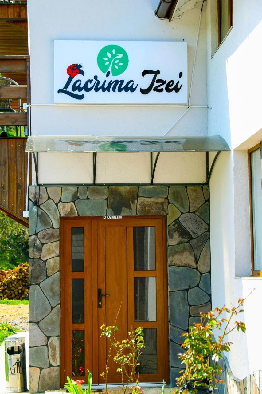 Lacrima Izei Villa Săcel Exterior photo